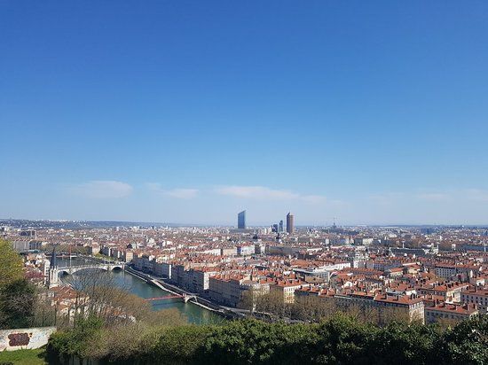 Le Jardin des Curiosités